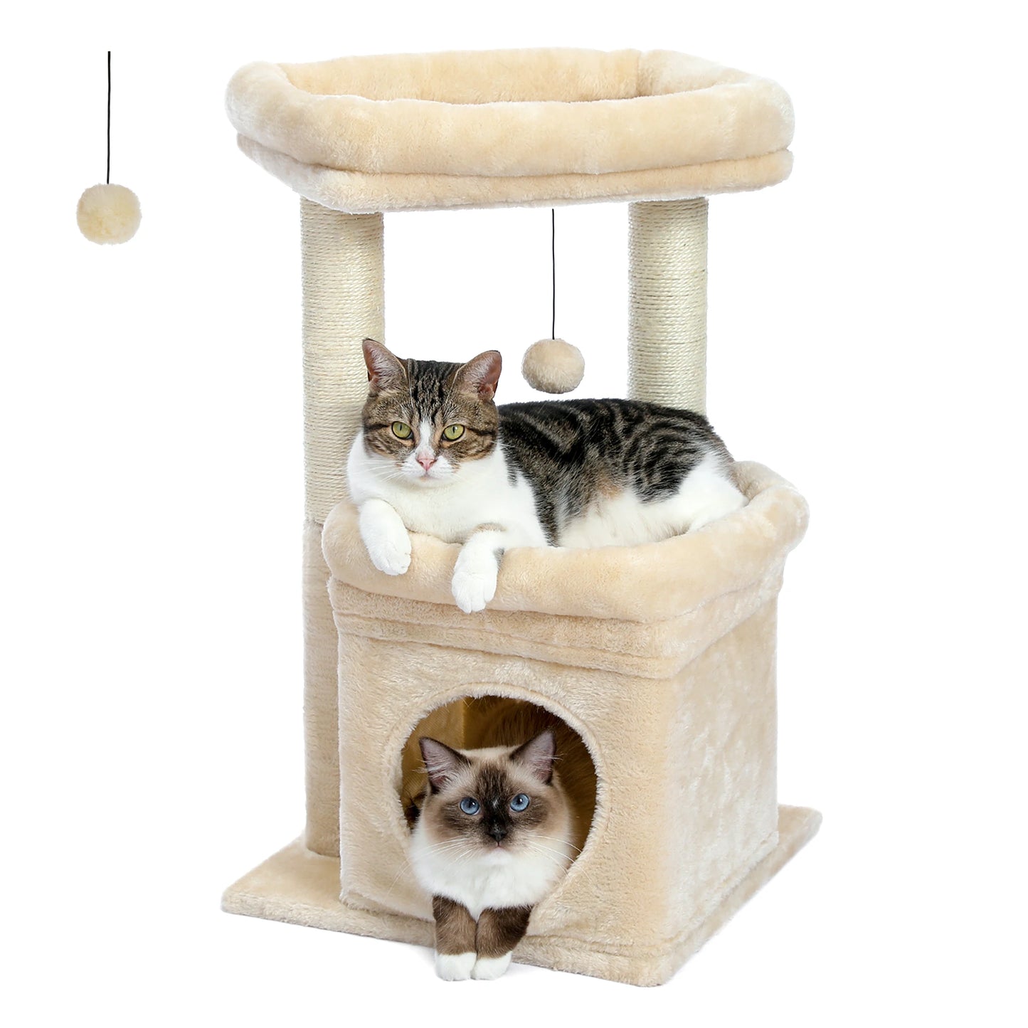 Arbre à chat moderne pour 1 à 2 chats