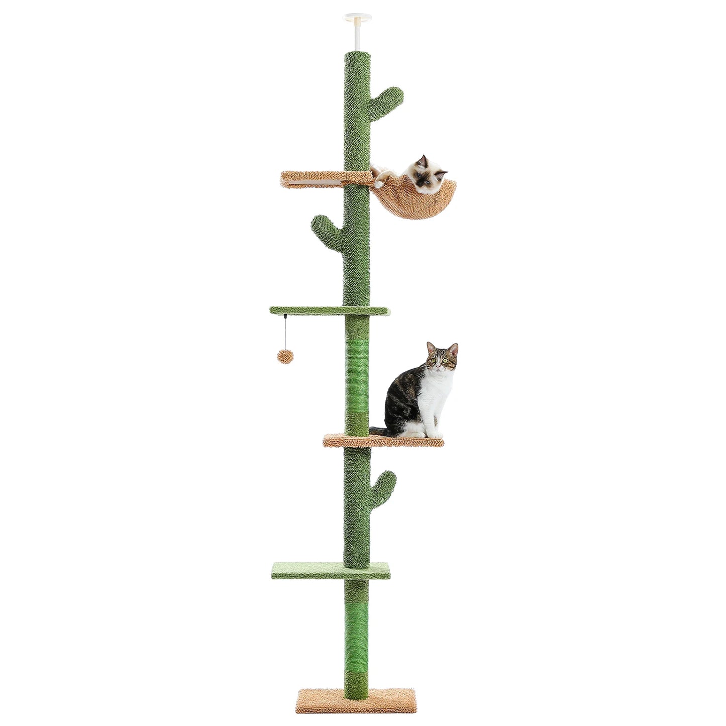 Arbre à chat à 5 niveaux du sol au plafond