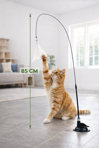 Jouet plume pour chat avec ventouse
